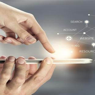 imaxe stem informe 2025