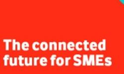 Un 64% das PEMES utiliza a tecnoloxía para diferenciarse dos seus competidores