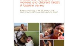 Cibersaúde e innovación en materia de saúde da muller e o neno: informe OMS 2013