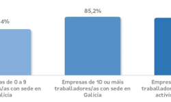 O 85,2% das empresas de 10 ou máis traballadores/as con sede en Galicia emprega software libre para a súa actividade.